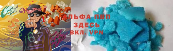 индика Нефтегорск