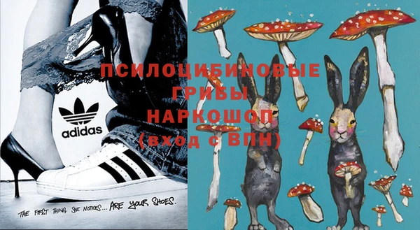 ешки Алзамай